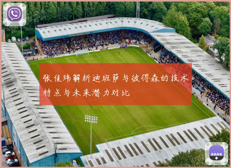 张佳玮解析迪班萨与彼得森的技术特点与未来潜力对比